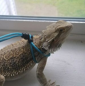 Meet your Posher, Cody